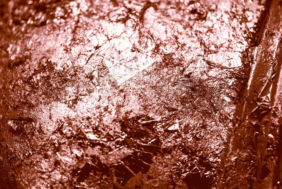 Serevice Image